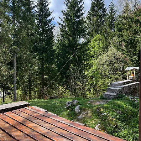 ~chalet_rifugio Tra I Boschi~ Sella Nevea